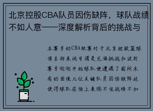 北京控股CBA队员因伤缺阵，球队战绩不如人意——深度解析背后的挑战与机遇